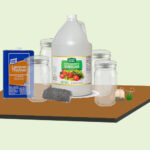 Ebonizing Solution with Susan Jilek