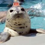 Seal It In by Eddie Castelin