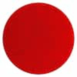 Sanding Disks Sanding Disks