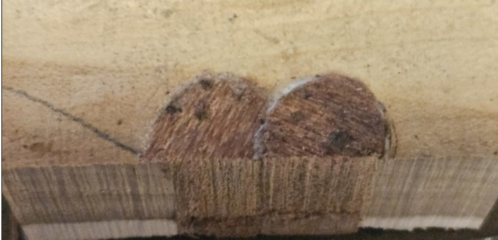 Slicing across the plugs