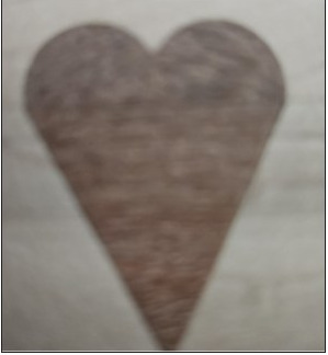 Completed heart segment