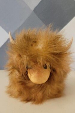 By Tana Munoz Gnome by Tana Munoz